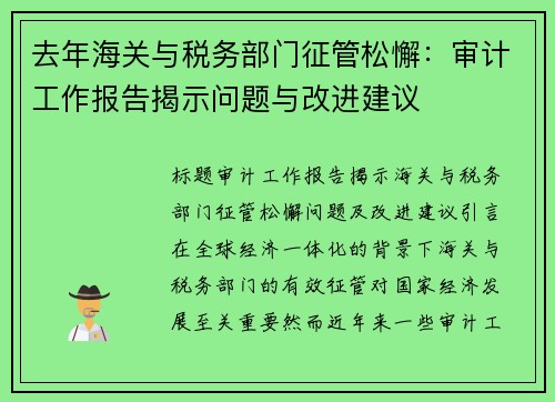 去年海关与税务部门征管松懈：审计工作报告揭示问题与改进建议