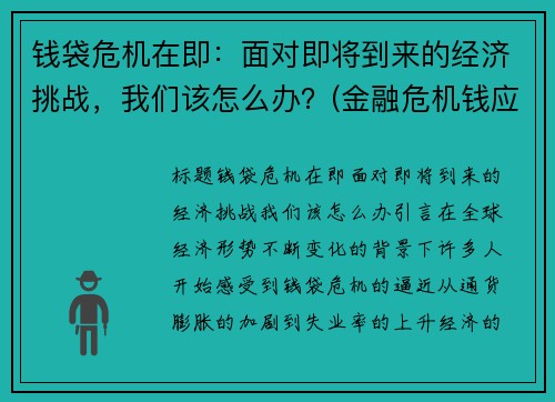 钱袋危机在即：面对即将到来的经济挑战，我们该怎么办？(金融危机钱应该放哪里)