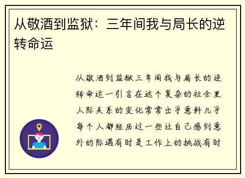 从敬酒到监狱：三年间我与局长的逆转命运