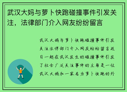 武汉大妈与萝卜快跑碰撞事件引发关注，法律部门介入网友纷纷留言